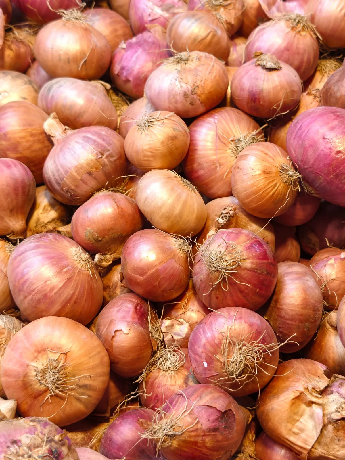 Onions