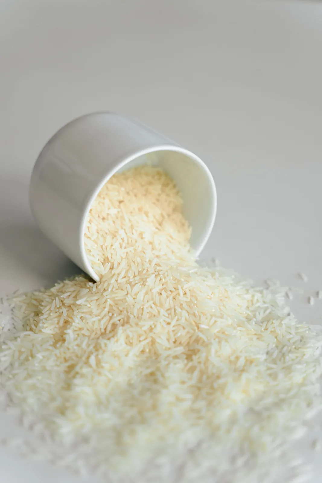 Rice variety