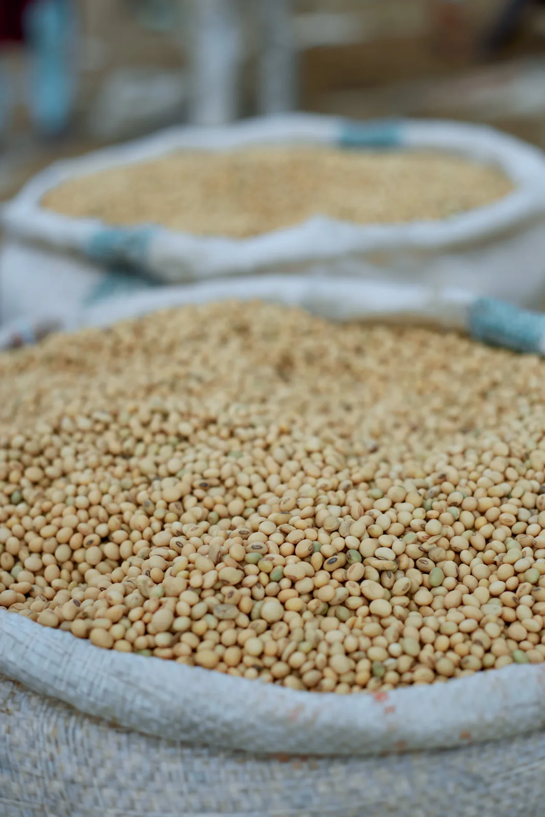 Oilseeds