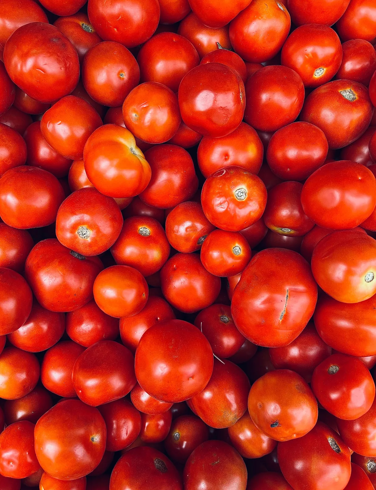 Vegetables