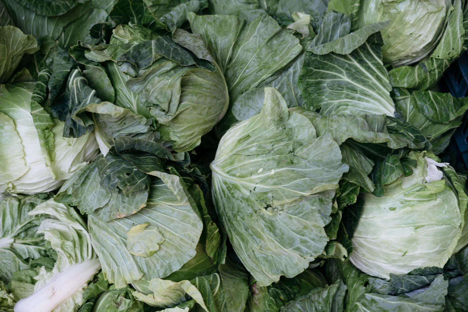 Greens