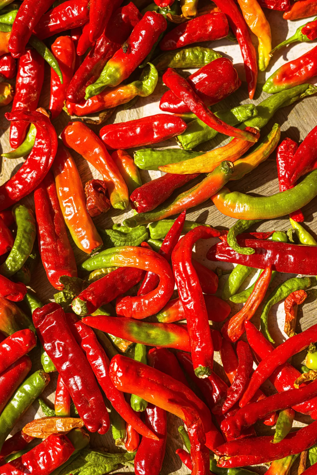 Spices