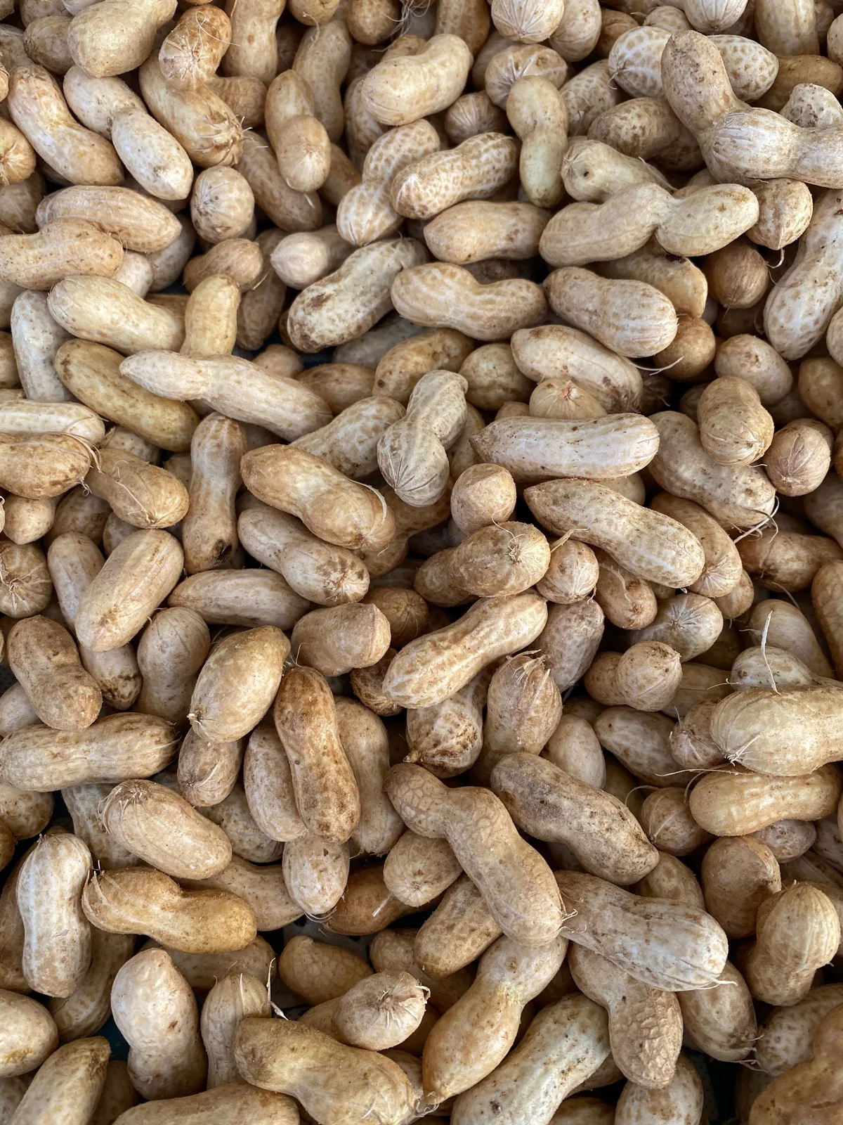 Nuts